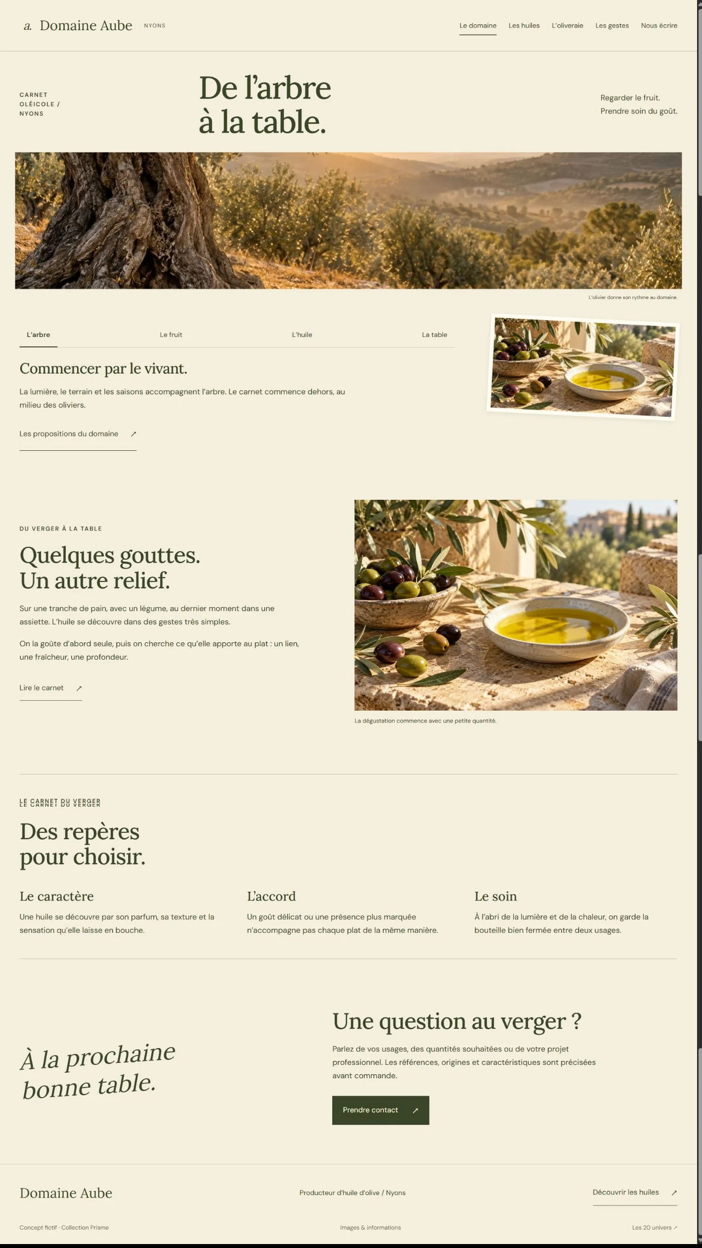Aperçu du site Domaine Aube